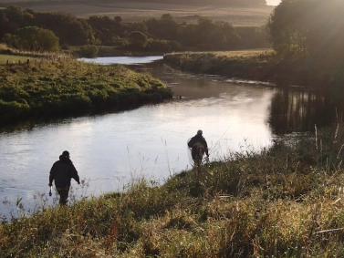 By the river By the river