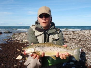 Golden autumn Golden autumn