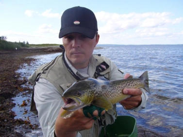 The e-Mail Man The e-Mail Man