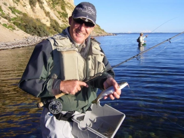 Happiness in the sunshine Happiness in the sunshine