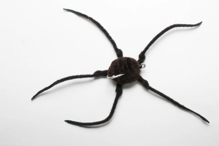 Niels' starfish Niels' starfish