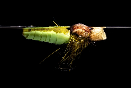 It floats as it should It floats as it should