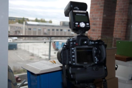 In the window In the window