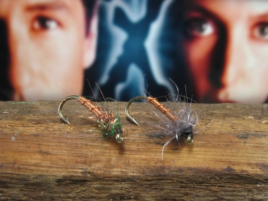 X-flies X-flies