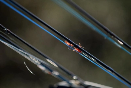 Rod and fly II Rod and fly II