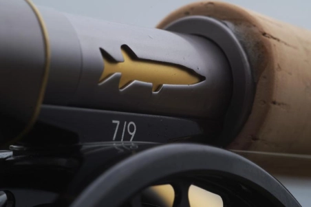 Cutout closeup Cutout closeup