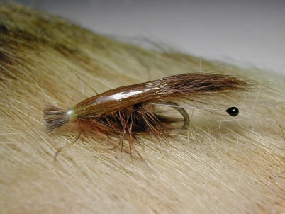 Ken's Shrimp Ken's Shrimp