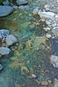 Blending in Blending in