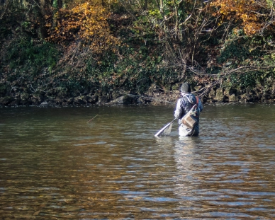 Euronymphing Euronymphing