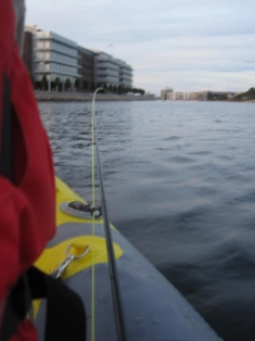 Fishing Fishing