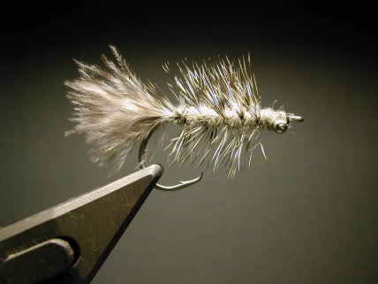 Circle Frede Circle Frede