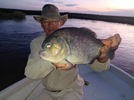 Our guide Tulio with a Pranha that ruined my fly Our guide Tulio with a Pranha that ruined my fly