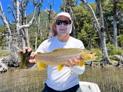 Sebastian and his acrobatic Brown Sebastian and his acrobatic Brown