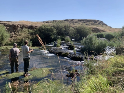 Scouting for Turkish trout Scouting for Turkish trout