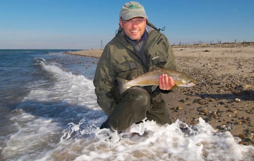 Seatrout Seatrout