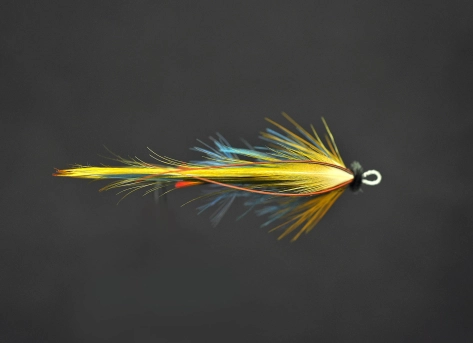 Quinchat top view Quinchat top view