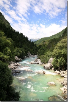 New Zealand or... New Zealand or...