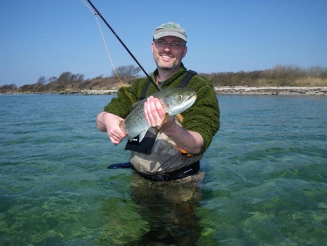 Seatrout Seatrout