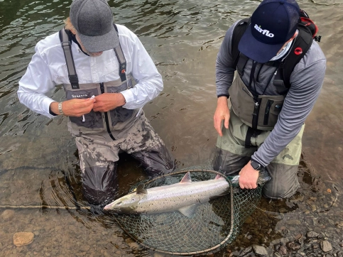 A helping hand A helping hand