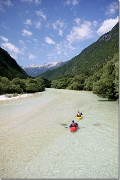 Highway to fish Highway to fish