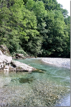 Hot spot and fish spotted Hot spot and fish spotted