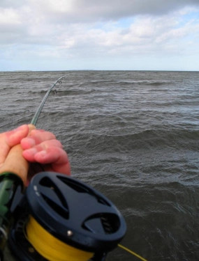 Keep the rod high Keep the rod high