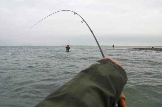 Double arc Double arc