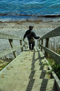 Descending to the beach Descending to the beach