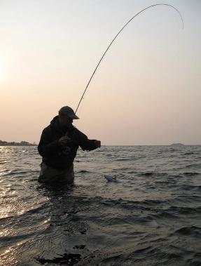 Extra bent Extra bent