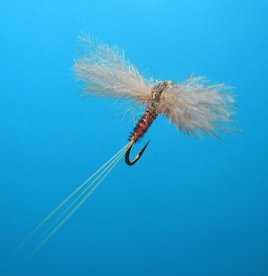 Pheasant Tail CDC Spinner size 18 Pheasant Tail CDC Spinner size 18