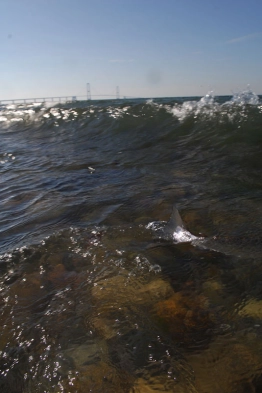 Released into the waves Released into the waves