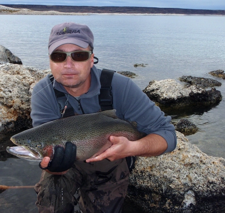 Rainbow pig Rainbow pig