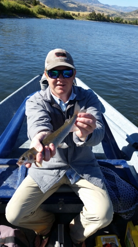 Mountain whitefih Mountain whitefih