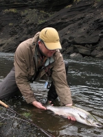 The release The release