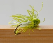 GYMTF rear view GYMTF rear view