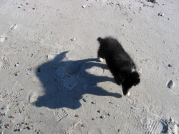 Close behind Close behind