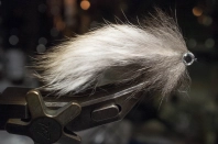 Obese Zkinny Obese Zkinny