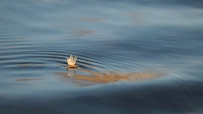 Drifting Drifting