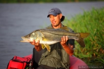 Snook Snook