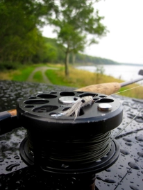 My LAW reel My LAW reel