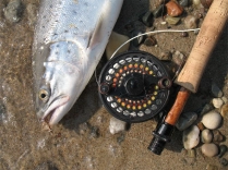 Another one Another one