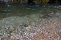 Top condition Top condition