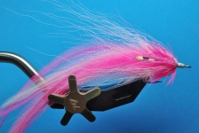 Das Pink Cephalopod Das Pink Cephalopod