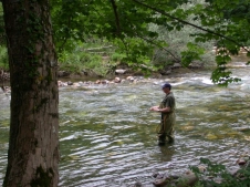 In the stream In the stream