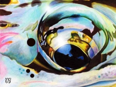 Alaskan Rainbow Trout Eye Alaskan Rainbow Trout Eye