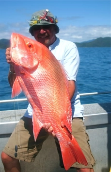 The artist The artist