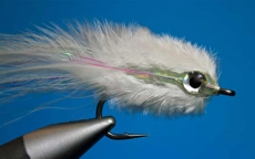 Phluffy Phly Phluffy Phly