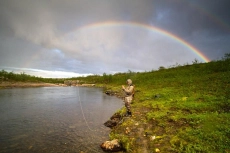 Under the rainbow Under the rainbow