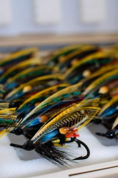 Rows and rows Rows and rows