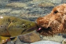 First kiss First kiss